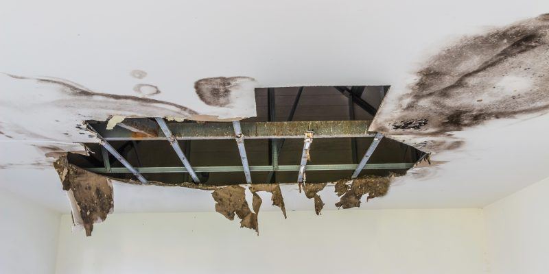 Water Damage Repair Actions For West Palm Beach Homes