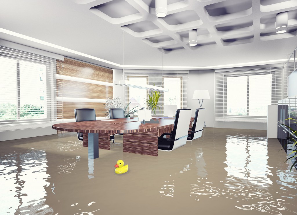 Wellington flooding, Wellington Flooding, Titan Restoration Construction