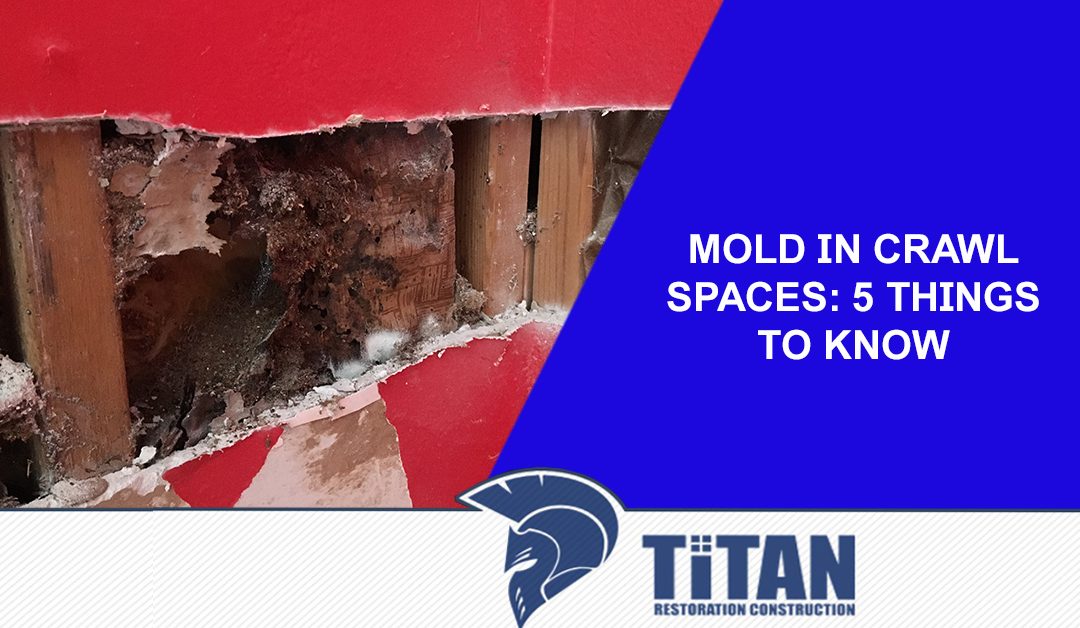 Mold In Crawl Spaces: 5 Things to Know