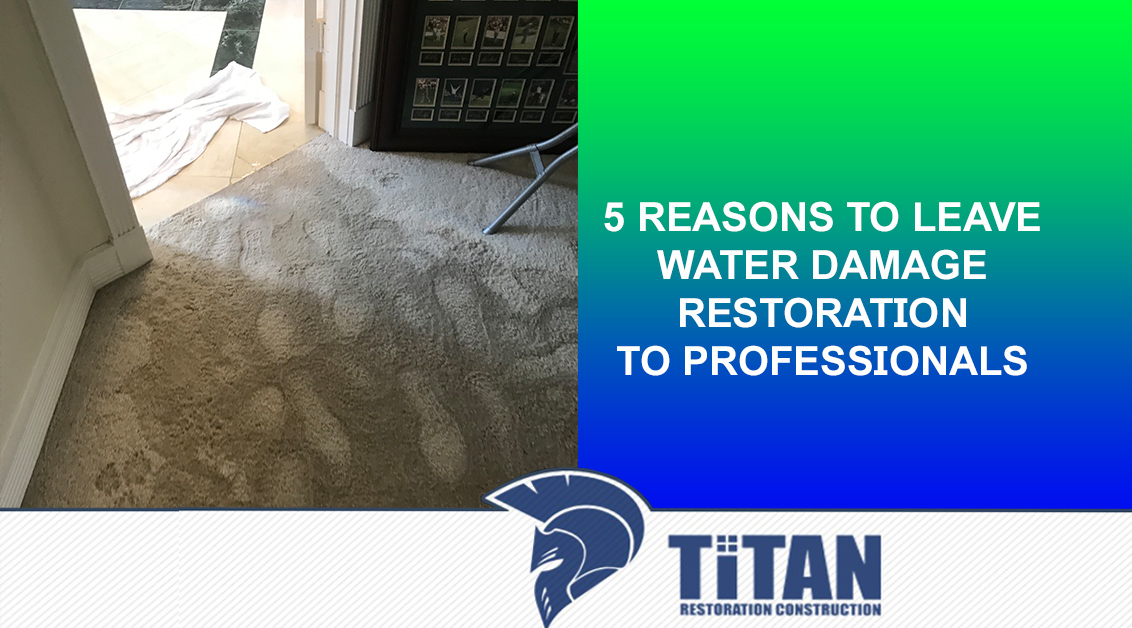 5 Reasons to Leave Water Damage Restoration to Professionals
