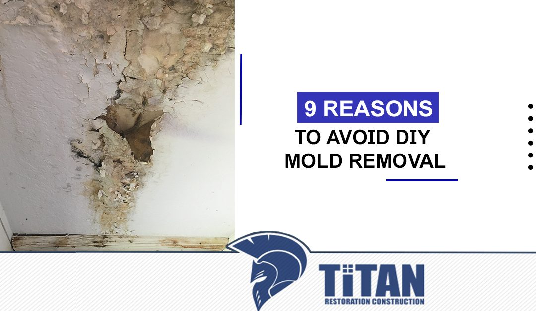 9 Reasons to Avoid DIY Mold Removal
