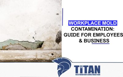Workplace Mold Contamination: Guide for Employees & Businesses