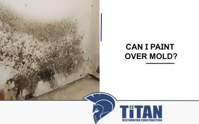 Can I Paint Over Mold?