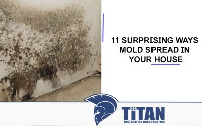 11 Surprising Ways Mold Spread In Your House