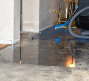 Vacuuming and Cleaning Sources of Water