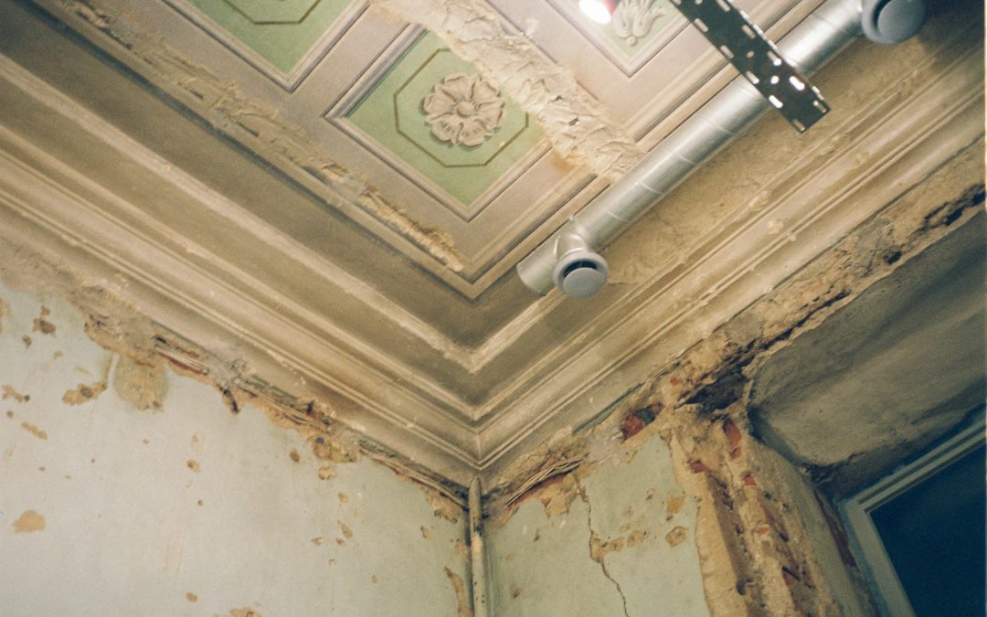 Knowing the Basics and Clear Signs of Ceiling Mold Growth