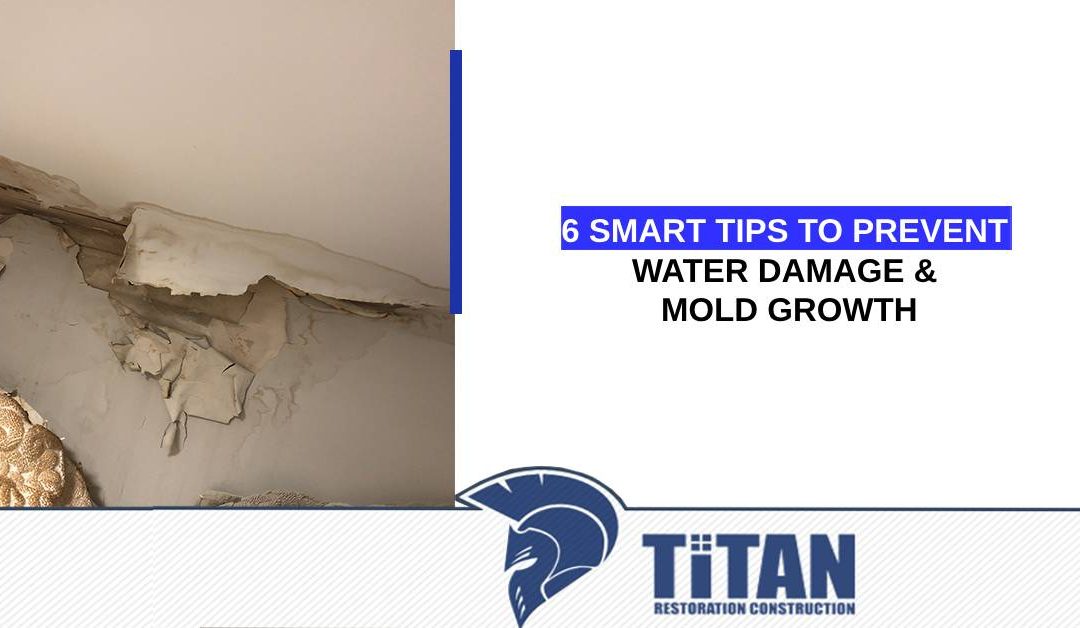 6 Smart Tips to Prevent Water Damage & Mold Growth in Your Home or Office