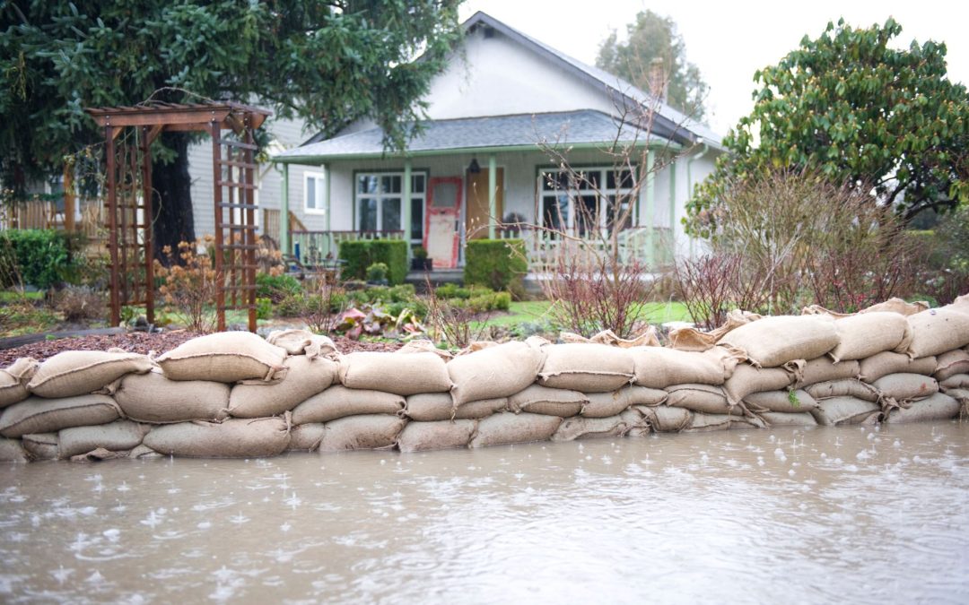 Effective Strategies for Preventing Flood Damage in Coastal Homes