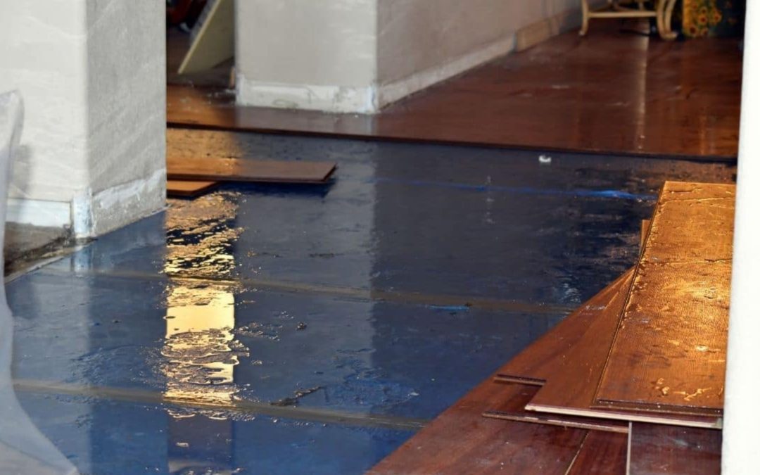 What Health Risks Are Linked to Untreated Water Damage in Jupiter, FL?