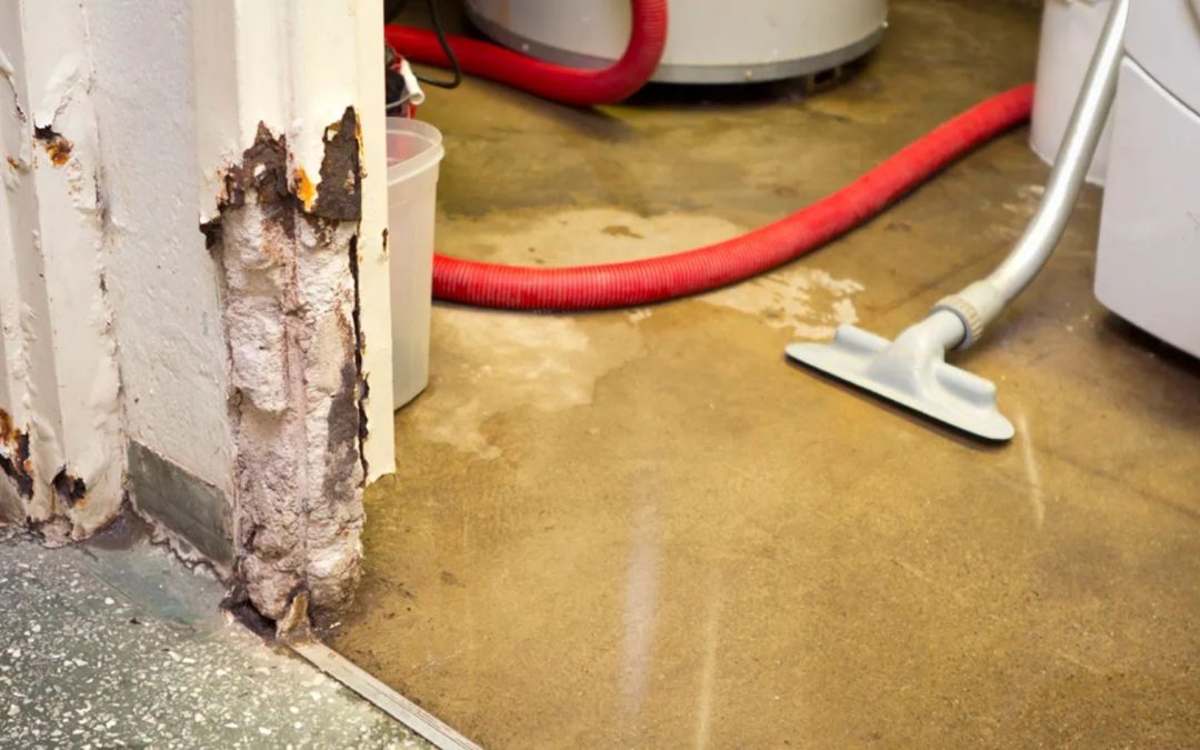 Why Is 24/7 Emergency Water Damage Restoration Critical in Wellington?
