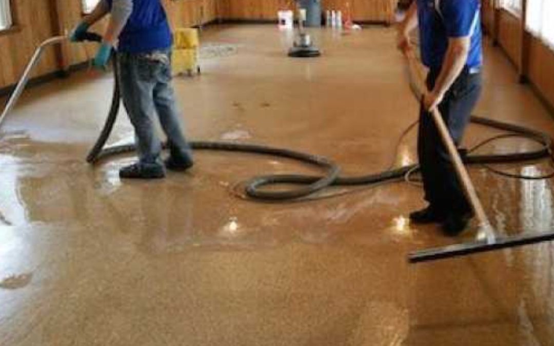 What Costs Should You Expect for Water Damage Restoration in Wellington?