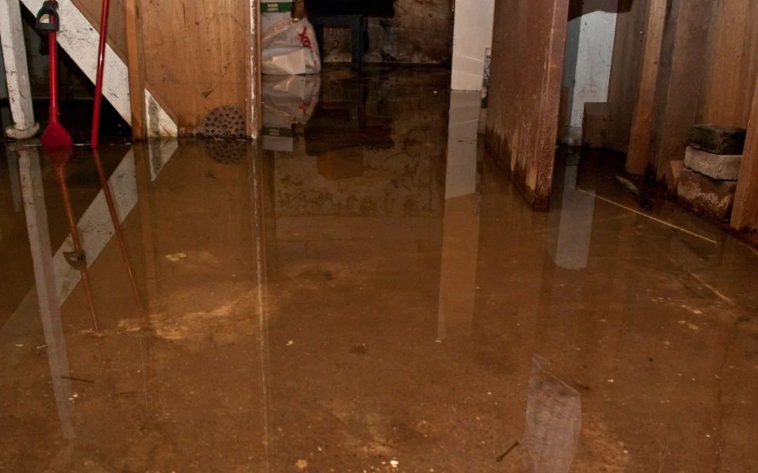 How Do Insurance Claims Work After Water Damage in Wellington?