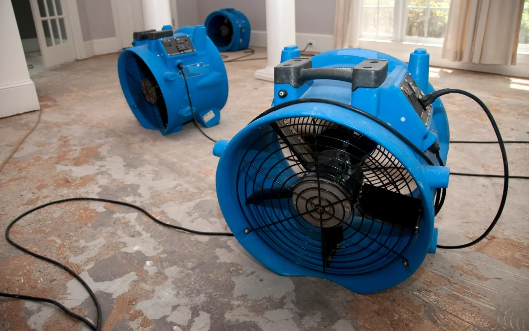 What Should You Do First After Water Damage in Boynton Beach?