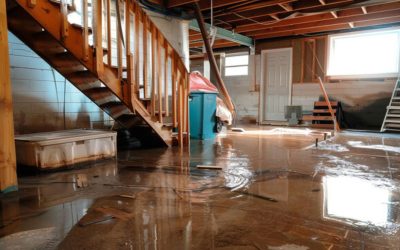 What Are the Common Causes of Water Damage in Boca Raton Homes?