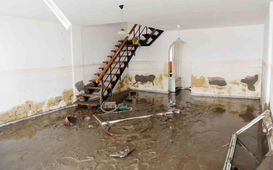 How Much Does Flood Damage Restoration Cost in West Palm Beach, FL?