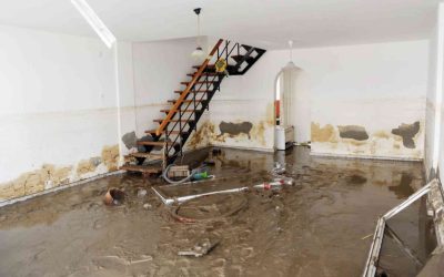 How Much Does Flood Damage Restoration Cost in West Palm Beach, FL?